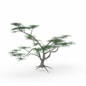 Model 3D rośliny akacjowej Whitethorn