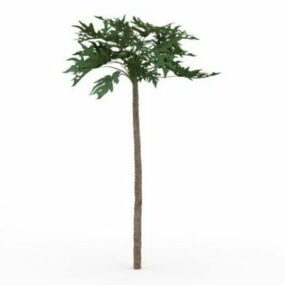 Papaya Tree 3d model