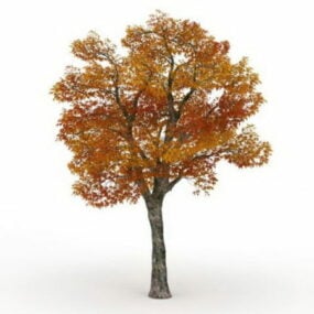 Model 3D jesiennego drzewa platanowego