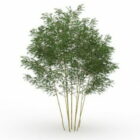 Phyllostachys bambu