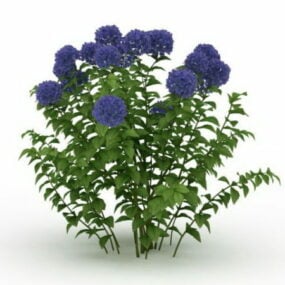 3D model rostliny modré hortenzie