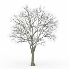 Tree Covered In Snow 3d model