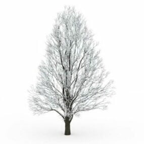 Træ dækket med sne 3d-model