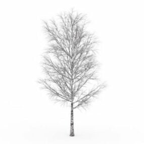 Birketræ i sneen 3d-model