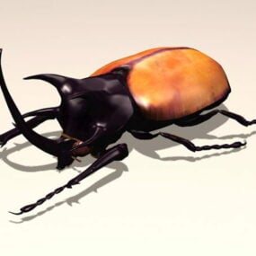 Modello 3d dello scarabeo rinoceronte