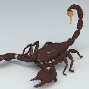 Scorpion Animal 3d model