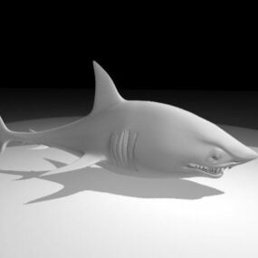 Kreslený 3D model žraloka