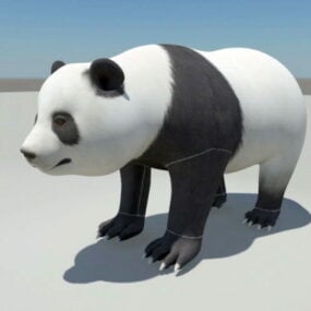 نموذج الدب الباندا ثلاثي الأبعاد