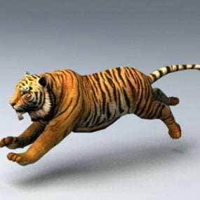 Animoitu Tiger Rig 3D-malli