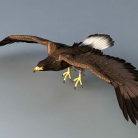 Flying Eagle Animation 3d model