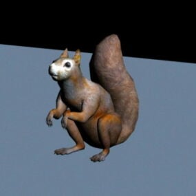 Vos eekhoorn 3D-model