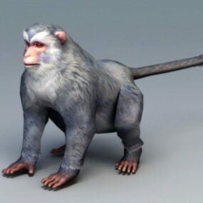 Modello 3d della scimmia grigia