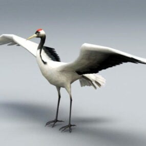 红鹤鸟3d模型