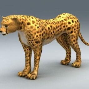 Modello 3d del ghepardo africano