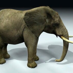 Lindo elefante de dibujos animados con sombrero modelo 3d
