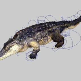 Animeret Alligator Rig 3d-model