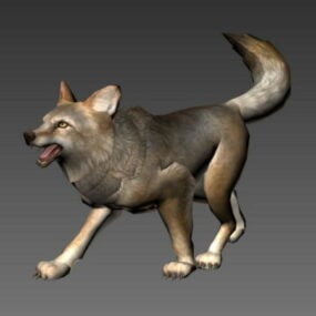 Animation d'attaque de coyote modèle 3D