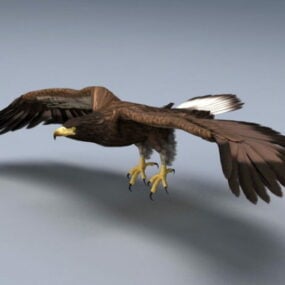 Modelo 3d animado del aparejo del águila calva