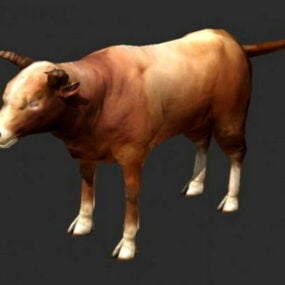 Beef Cattle 3d-model