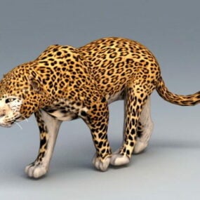 Modello 3d del leopardo africano