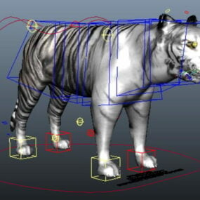 Plate-forme de tigre blanc modèle 3D