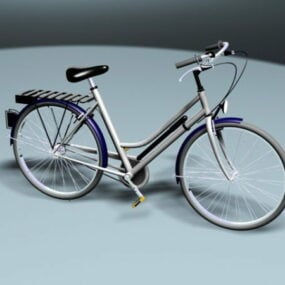 Typical City Bicycle 3d model