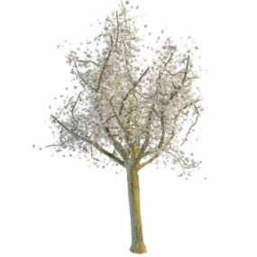 植物の白いカエデの木3Dモデル
