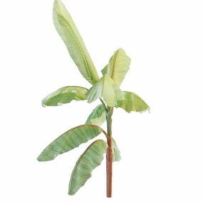 Plant Artificial Banana Tree 3d model