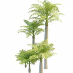 Tanam model 3d Pohon Palem Alexandra