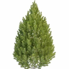 Landschap Topiary Pine Tree 3D-model