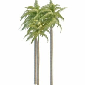 Plant dekorative kongelige palmetrær 3d-modell