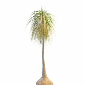Plant Hestehale Palm Tree 3d-modell