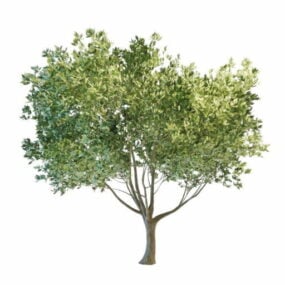 نموذج شجرة المناظر الطبيعية في الفناء الخلفي ثلاثي الأبعاد