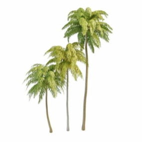Nature Coconut Palm Tree 3d-modell