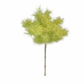 3д модель декоративного дерева для сада