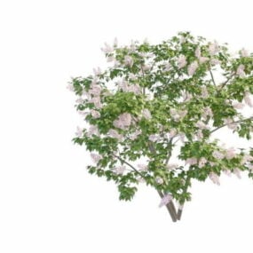 香水ライラックの茂みの木3Dモデル
