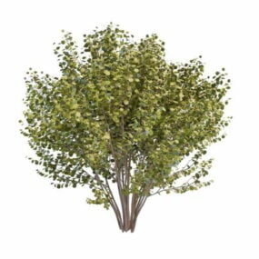 Velké keře strom pro krajinu 3d model