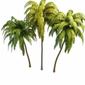 Skupina kokosových palem 3D model