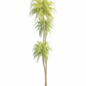 Natuur hoge kokospalmen 3D-model