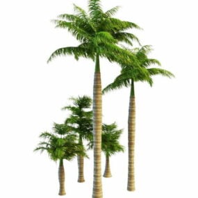 Group Royal Palms Tree 3d-modell