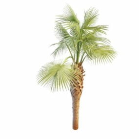Trithrinax Acanthocoma Palm maisema-3d-malliin