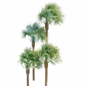 Τυπικό τρισδιάστατο μοντέλο Fan Palms Tree