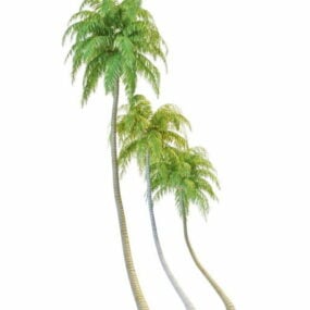 Nature Coconut Palm Trees דגם תלת מימד