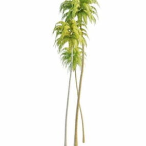 Typische groep hoge kokospalmen 3D-model