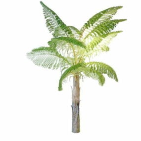Queen Palm Tree דגם תלת מימד