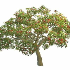 Coral Tree Flowers 3d model