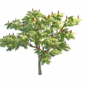 3д модель Сумахового дерева