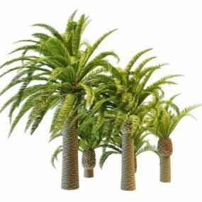 Modelo 3d de palmeiras de abacaxi