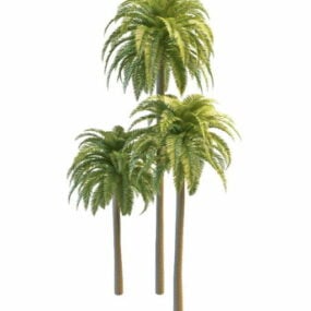 Modelo 3d de palmeras fénix