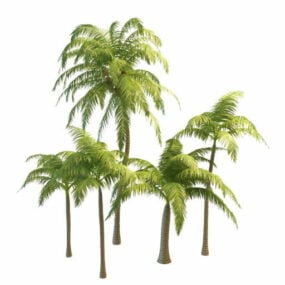 Skupina kokosových palem 3d model